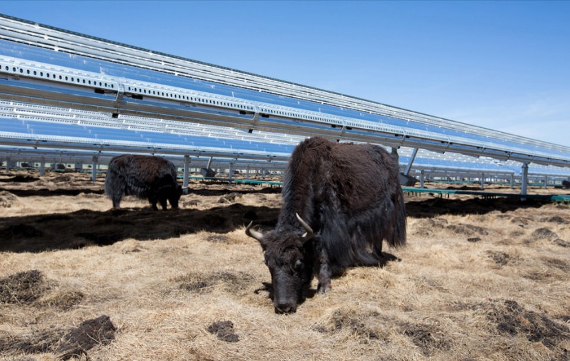 Apple creëert een fonds van $ 300 miljoen om zonne-energie te bouwen in China
