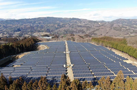 Als reactie op energietekorten lanceert Duitse zonne-energie een "crisistender" van 1,5 GW
